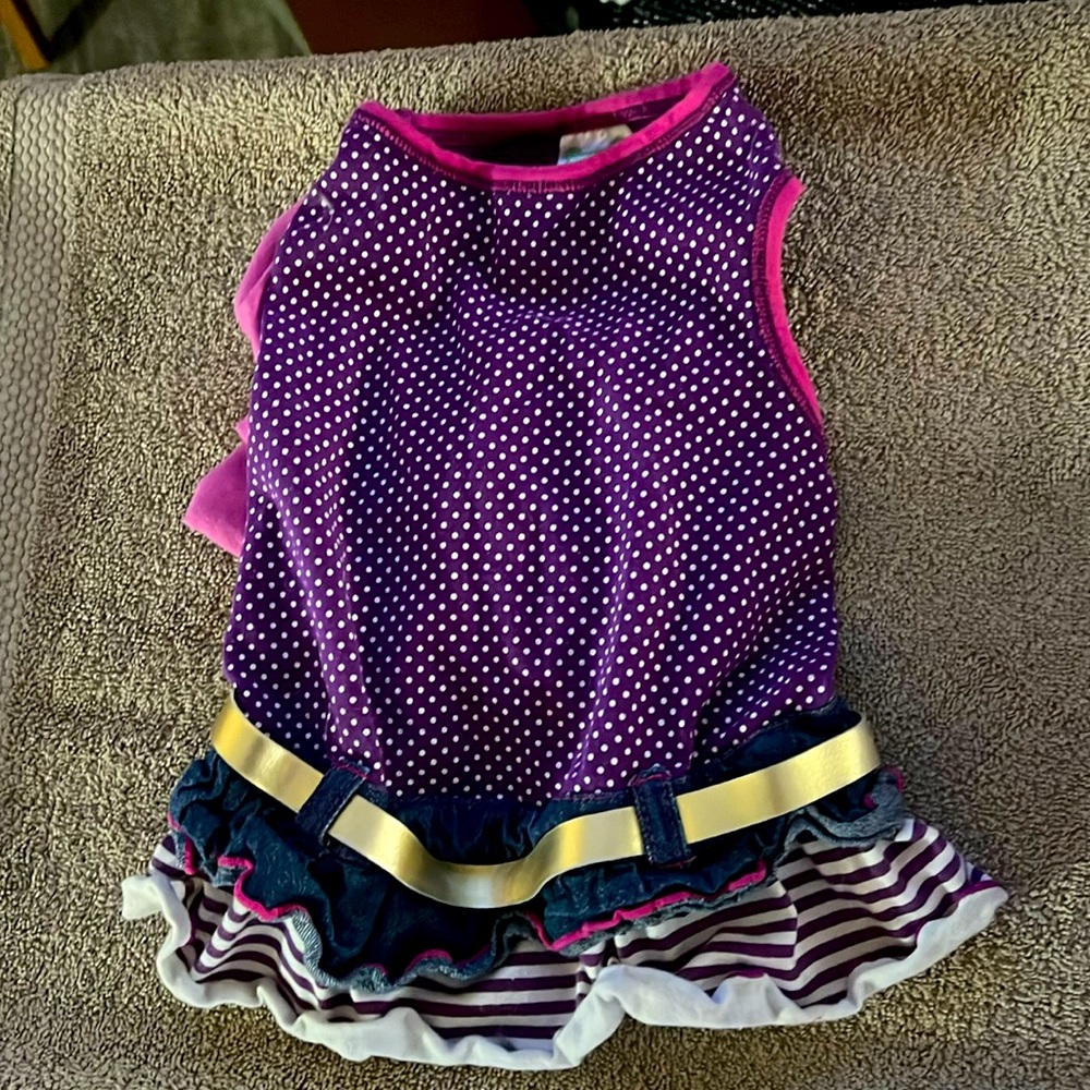 Last Chance!!!   Wag-A-Tube Dog dress Spoiled size Medium in EUC